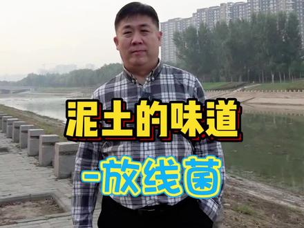 泥土的味道-放线菌#泥土#放线菌#科普