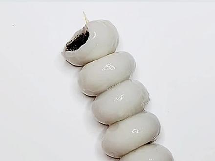 哈哈哈,见过这样吃汤圆的吗?#简笔画 #零基础学画画 #元宵节 #一学就会系列