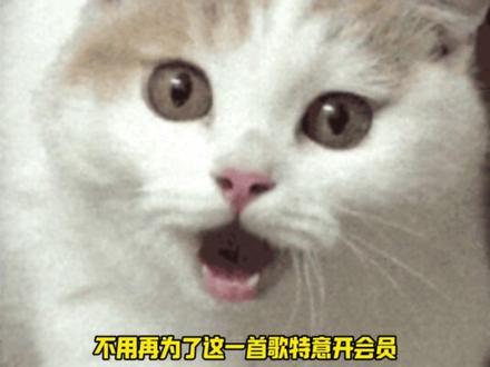 番茄畅听免费听歌还能赚金币! #番茄畅听 #畅听音乐 #海量音乐免费听