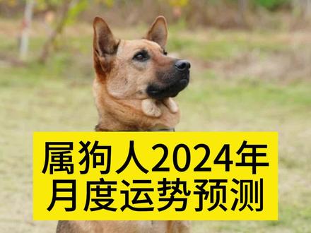 属狗人2024月度运势预测:
我无法提供针对个人的每个月的具体运势预测,因为这需要具体的生辰八字等信息,而且占星学和命理学的预测并不是科学上被证明为准确的方法。然而,我可以为您提供大部分人一般性的建议,以帮助属狗人在2024年度过一个平稳和成功的一年。#生肖 #十二生肖 #狗 #属狗 #运势早知道
