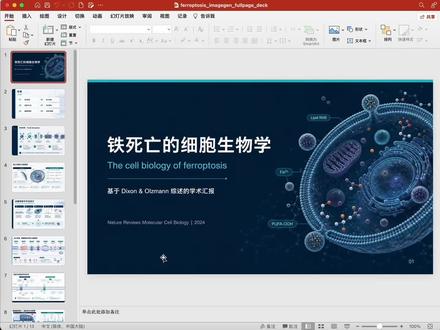 Codex做PPT保姆级教程它来了! 无论是工作汇报还是毕业答辩,都可以让大家事半功倍!
步骤:上传文献,配上3个提示词,就可以获得精美ppt。拥抱ai,让我们事半功倍!#ai做ppt #研究生 #ppt #毕业答辩 #打工人