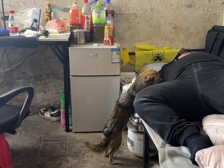 过不过年重要吗?20来岁的年纪有怎样的成就才算成? #分享生活 #回家过年