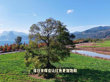 抚仙湖自驾环湖攻略 #抚仙湖 #温暖的房子 #马房村 #湾子沟