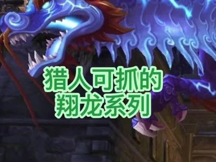 魔兽世界猎人可抓的翔龙🐲-纳拉克-持续更新中#游戏精彩时刻 #魔兽世界 #特效 #一起玩游戏 #新手必看 #游戏日常 #怀旧游戏 #wow #实用 #经典游戏 #魔兽青春 #暴雪 #稀有 #攻略 #视觉震撼 #闪电特效 #世界Boss #翔龙 #龙