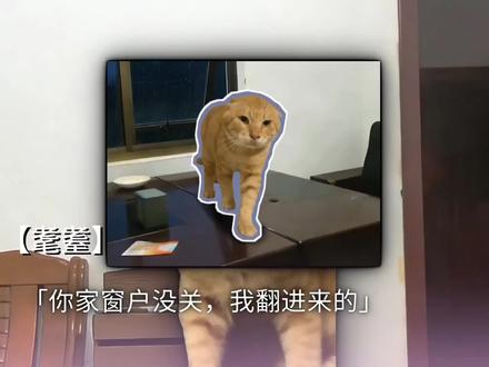 借宿#耄耋#圆头耄耋#galgame#千恋万花#猫娘
