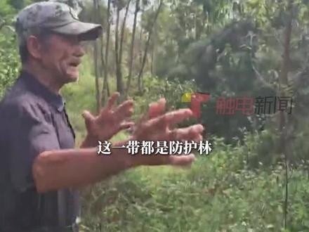 10月30日报道,广东湛江吴川吴阳镇垌儿村的村民报料称,村干部把村里的防护林所在林地卖给外村人当坟地,导致防护林的树木被破坏。而垌儿村现任村民小组组长李树春则说,村民反映的情况是上一任村民小组组长任期时发生的,他当时是村里的财务人员,只负责收钱转入村里的公账。吴阳镇政府工作人员表示,目前已有相关部门介入调查,但调查结果还没出来,接下来将进一步加强农田防护林建设管理工作。(《今日关注》记者:潘小迪)