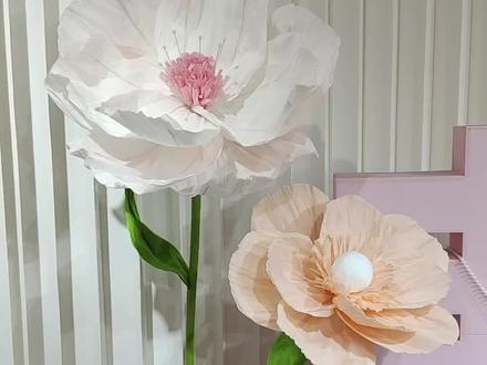 虞美人纸艺花教程,喜欢的可以点个关注,后面会继续更新更多品种纸艺花教程#纸艺花 #纸艺虞美人 #纸艺花教程