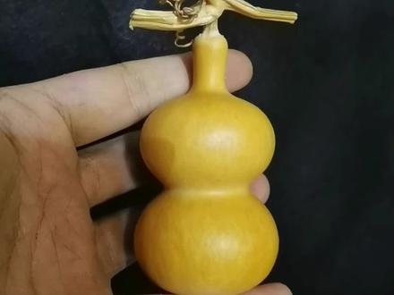 #仟山工艺品店
如何识别厚皮和纸皮葫芦,您学会了吗
#葫芦 #葫芦知识分享#葫芦经验交流