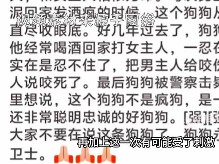 大同狗咬人后续:知情人曝惊人内情,原来狗是在为女主人报仇