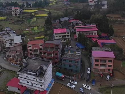 萧氏扫墓之萧一菊墓园 #乡村生态 #萧氏一家亲 #萧一菊墓园 #横板桥#萧氏扫墓