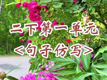 二年级语文下册《开满鲜花的小路》句子仿写#二年级 #语文 #幼小衔接 #下册