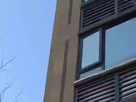 浙江杭州。松鼠沿高层建筑外墙爬至19层楼顶,偷吃居民晾晒的萝卜干。目击者沈女士称,小区松鼠一直很多,楼顶经常有人晒腊肉萝卜干等,小家伙可能不是第一次这么干了。#松鼠 #萝卜干