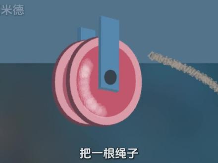 简单机械:定滑轮、动滑轮原理 #初中物理