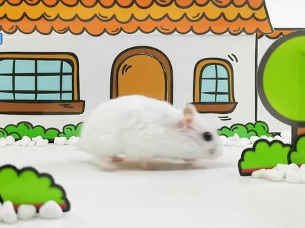 仓鼠团子选择困难症 #少儿 #仓鼠闯关 #迷宫关卡 #萌宠 #益智早教