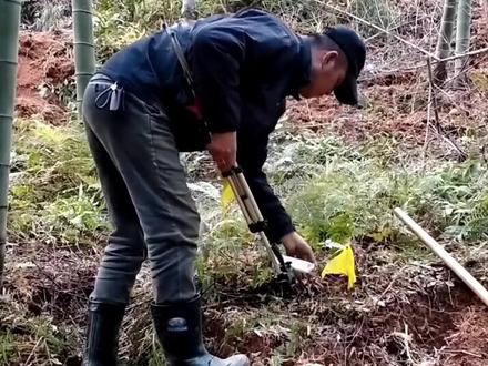 冬笋探测神器,让竹林中的你不再迷茫,那你手中的锄头不在闲置!让你背上的袋子满满而归!#挖冬笋 #农村 @抖音小
