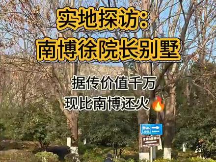 【比南京博物院还火,实地走近徐湖平豪宅别墅】