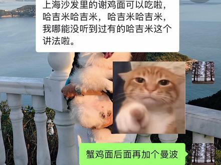 哈吉米!曼波!#猫咪的奇怪行为 #整蛊妈妈