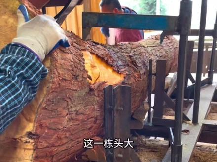 加工寿材的中底方,9寸宽,6寸厚#古麒麟 #解压 #木材加工