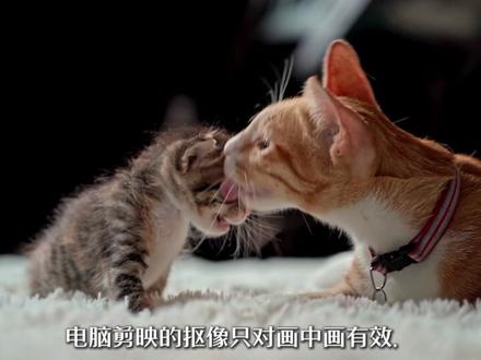 电脑剪映 抠像全教程|绿幕 + 人像抠图 《电脑剪映 抠像全教程|绿幕 + 无绿幕 + 人像抠图 一遍学会》,全程实操,新手跟着点就能学会。#绿幕抠像 #剪辑教程 #剪映vlog日常 #剪辑视频 #新手剪辑
