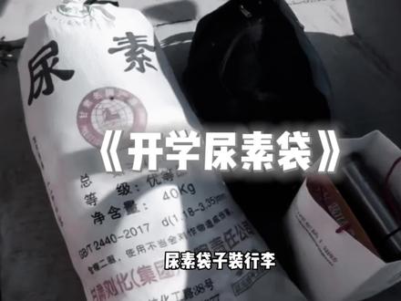 该开学了,你们的尿素袋子准备好了吗#尿素袋子装行李 #尿素