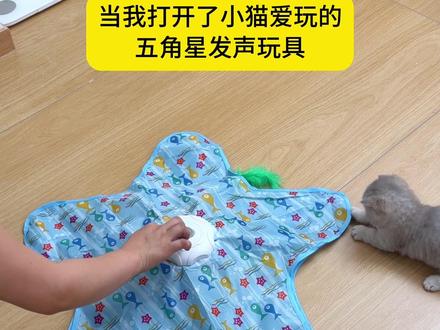 我家小猫也拥有了最近超火的五角星发声玩具 #萌宠好物分享 #猫玩具 #五角星猫玩具 #逗猫神器