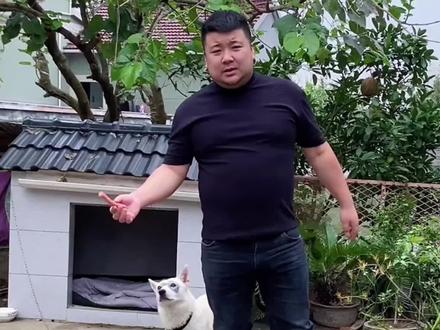 摸摸哥:一个被疫苗包年的男人,和爱犬小白之间的爱恨情仇