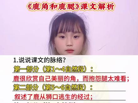 三年级语文下册 第二单元《鹿角和鹿腿》#小学语文 #知识点总结 #语文知识分享 #每天跟着我一起学习