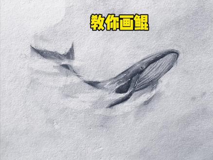 北冥有鱼,其名为鲲!