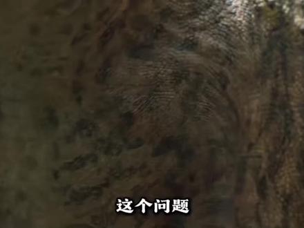 😱😱😱#恐龙骑自行车#花海#创作灵感@抖音小助手