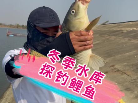 鲤鱼湖北人都不喜欢吃,也不喜欢钓,但是我即喜欢钓又喜欢吃,我感觉自己不是个湖北人,你们有同款的吗?#2022dou来钓鱼 #dou是钓鱼人 #原来钓鱼才是抖音运动顶流