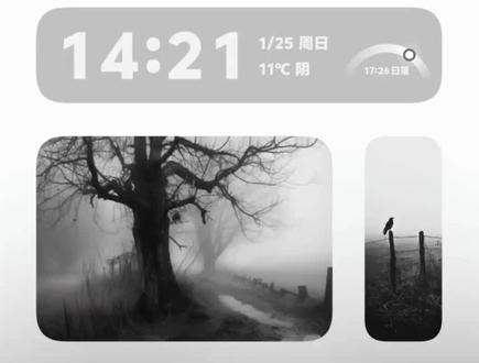 教程在这 有不懂的评论区接着问!#教程#桌面布局 #originos6