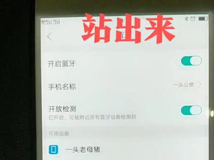 可白打扎子,到底是谁,你站出来?#河南 #河南南阳 #河南邓州 #河南话