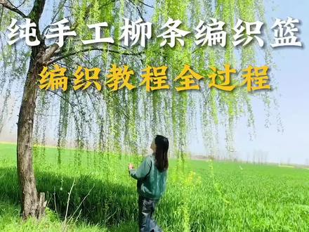 纯手工柳条编织篮,编织教程全过程#柳条编织小篮子 #编织教程 #手工 #我的乡村生活 #创作灵感 @抖音作者助手 @抖音小助手 @抖音 @抖音创作灵感 @DOU+小助手