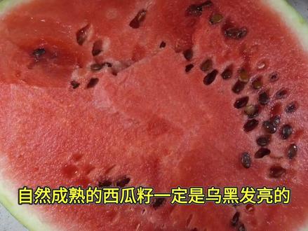 打激素的西瓜如何区分?老瓜农教你一招,学会了老板不敢忽悠你