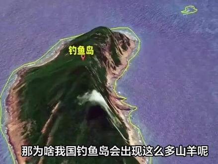 数百只山羊现身钓鱼岛,这些羊是哪来的?真相让人哭笑不得