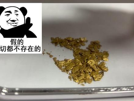 河里真的有黄金吗?#淘金#黄金#户外