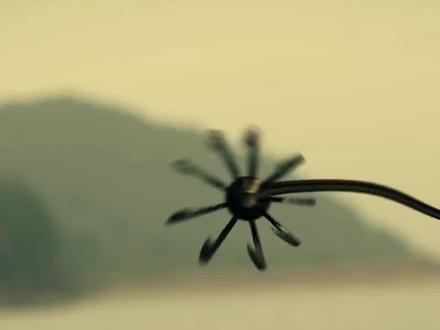 抓螃蟹被嘲笑,狂练九爪神钩,最后王者归来,挽回失去的一切