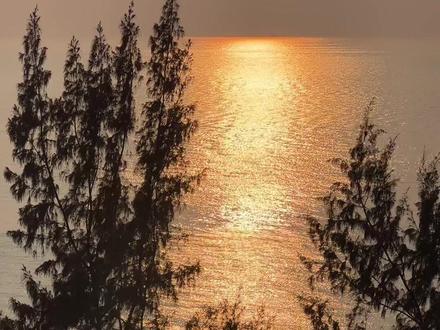 为什么北海的橙猫都不胖#三星存储#内存卡#相机内存卡#高速内存卡#摄影