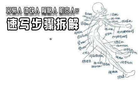 速写5步拆解,告别新手幼稚画。 速写步骤拆解,火柴人,体块人,骨骼人,肌肉人,画稿绘画过程展示。#速写人物#人体画画大挑战#速写步骤#画画过程分享#人体结构练习