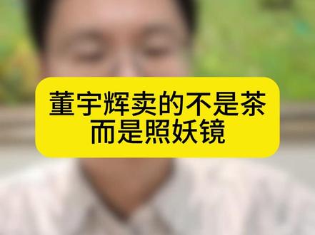 董宇辉卖的不是茶,而是照妖镜。#董宇辉 #与辉同行 #董宇辉拥有暖评最多的评论区