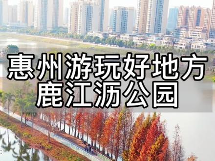 惠州免费露营好地方,开车直达,市区出发仅十几分钟,停车方便,可露营过夜、烧烤钓鱼、玩飞盘放风筝等多种玩乐方式!#惠州露营地推荐 #免费露营烧烤地点推荐 #惠州游玩攻略 #惠州周末好去处 #青年创作者成长计划