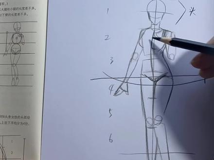 教你画漫画体型,小白也看的懂,你懂了吗?没懂进今晚8点直播间。