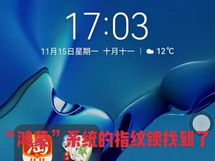 #手机的隐藏功能 鸿蒙系统的指纹锁终于找到了! 打开“设置”~“生物识别和密码”~“指纹”~最后打开“解锁设备”就搞定。