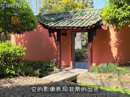 一加15T 搭载主摄和3.5倍(85mm)潜望长焦两颗镜头,在LUMO凝光影像算法的加持下,实拍影像表现怎么样?请看视频#一加15T