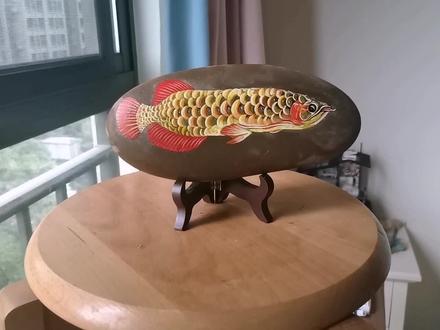 创意丙烯石头画,霸气侧漏的高背金龙鱼,价值不菲极具观赏性