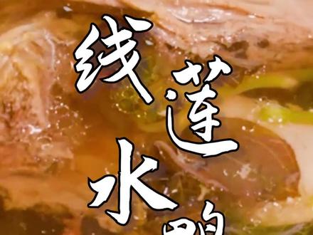 今日小寒,给辛苦操劳的ta炖一碗营养又滋补的金线莲水鸭汤吧#抖音美食创作者