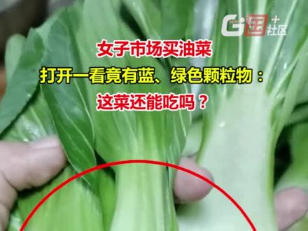1月21日,河北石家庄。女子市场买油菜,打开一看全是蓝、绿色颗粒物。求问:这菜还能吃吗?#在线等