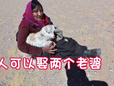 在西藏和藏族姑娘相处闹出笑话,原来一个男人可以娶两个老婆。 #自驾游西藏 #皮卡房车 #抖音 #热门小助手