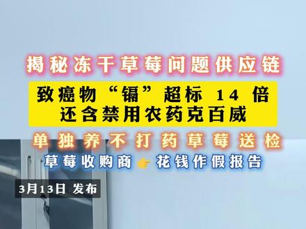 揭秘冻干草莓问题供应链 致癌物“镉”超标 14 倍 还含禁用农药克百威,单独养不打药草莓送检,草莓收购商👉花钱作假报告(小韩)#揭秘 #315打假 #曝光 #食品安全