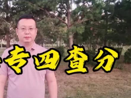 2025德语专四可以查分啦 #德语#德语专四